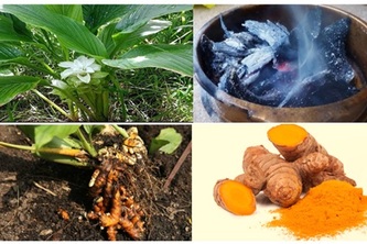 Spark of an idea for controlling mosquitoes