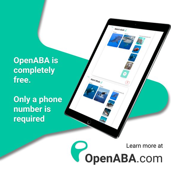 OpenABA: Digital tools for behavioral therapies – screenshot 4