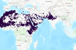 LocustTrack – screenshot 2