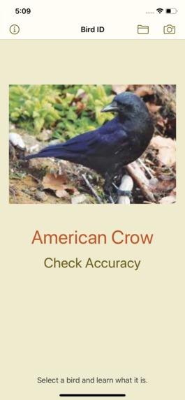 Bird ID – screenshot 2