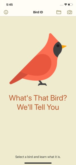 Bird ID – screenshot 1
