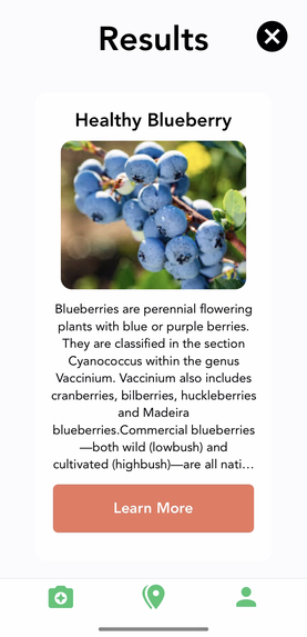 DizPlant – screenshot 7