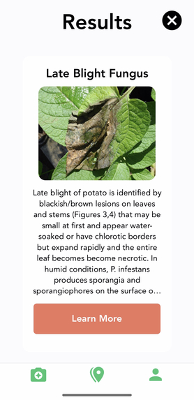 DizPlant – screenshot 8