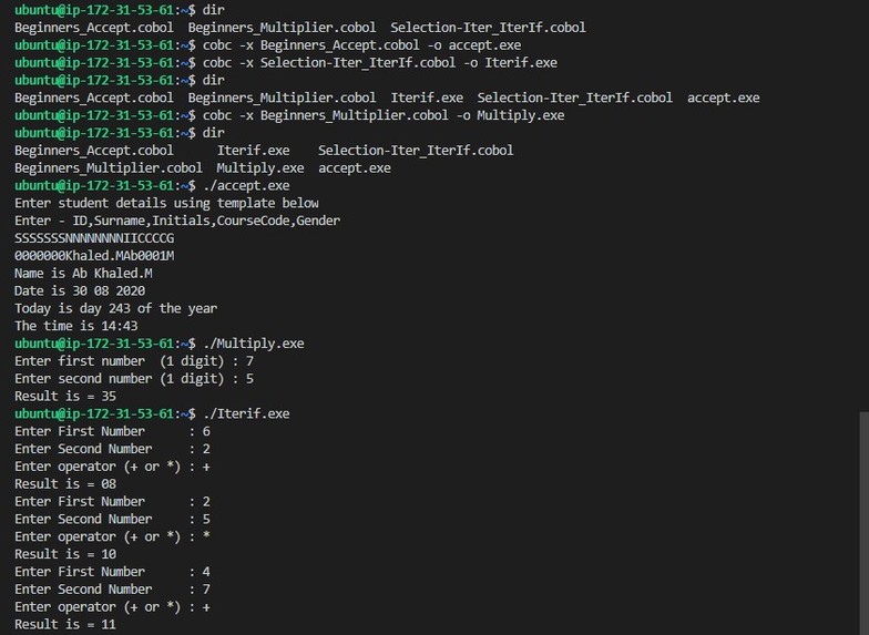 COBOL Ready – screenshot 2