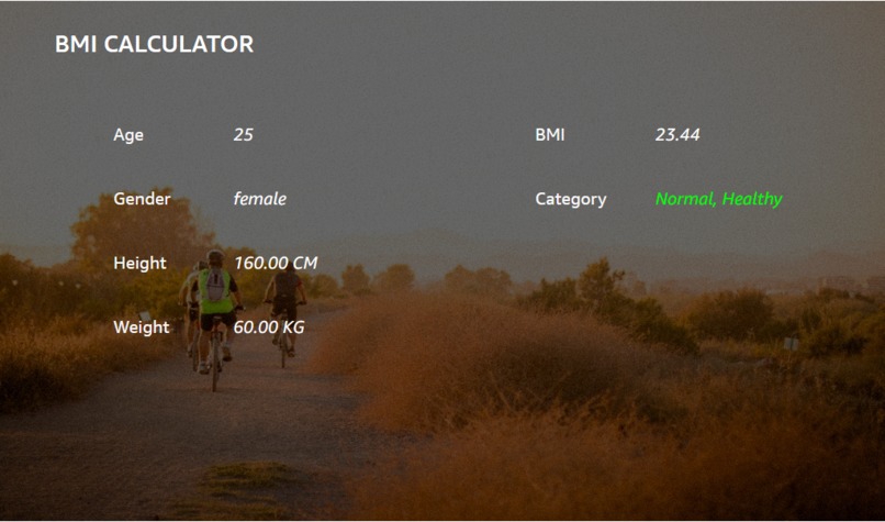 BMI Calculator – screenshot 2