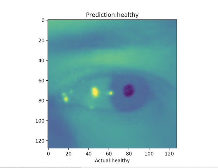 Window into Health – screenshot 3