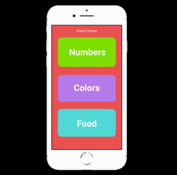 Pocket Chinese – screenshot 2