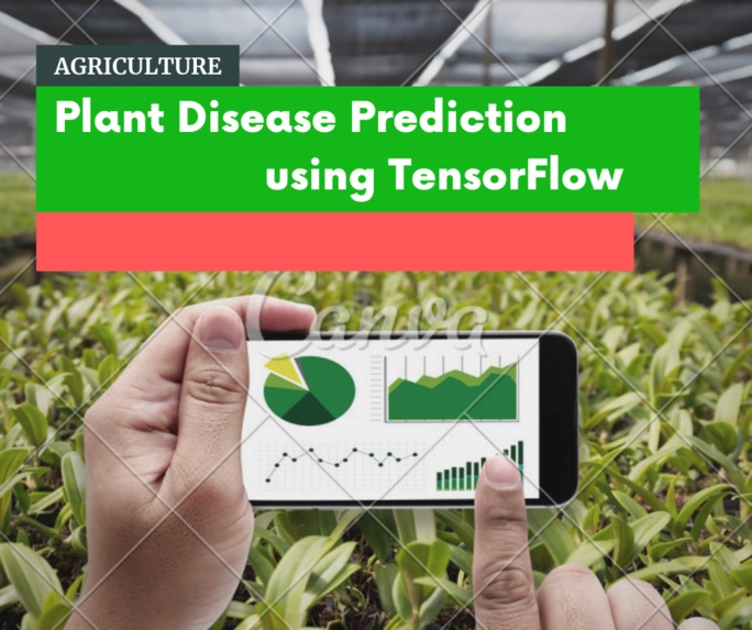 Plant Disease Identification  – screenshot 1