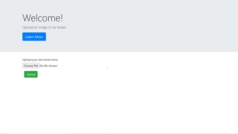 Skin Lesion Classification – screenshot 2