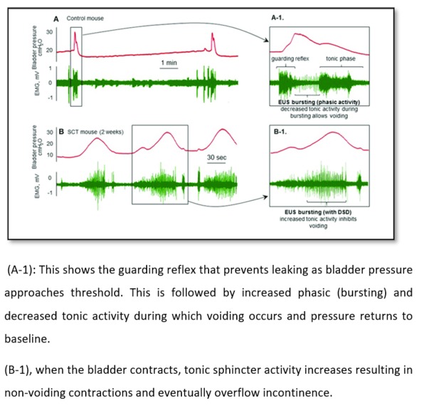 SneakPeakIntoLeak – screenshot 1