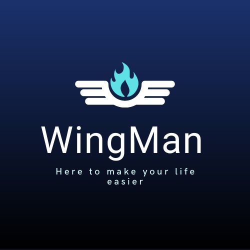 WingMan – screenshot 1