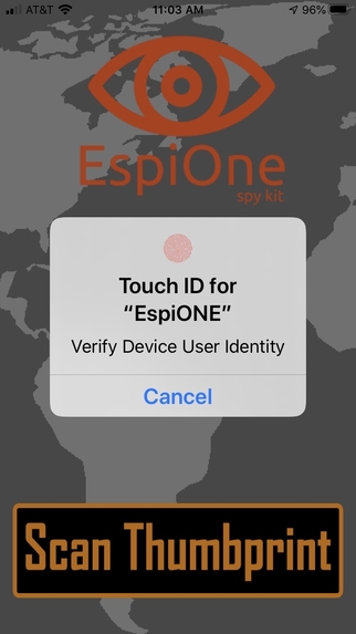 EspiOne – screenshot 5