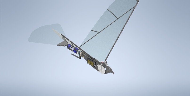 DRONE BIRD – screenshot 1