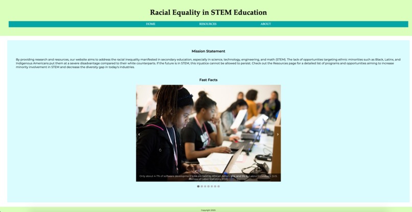 Racial Equality in STEM Education – screenshot 2