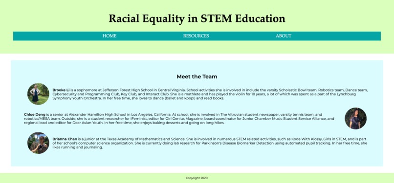 Racial Equality in STEM Education – screenshot 3