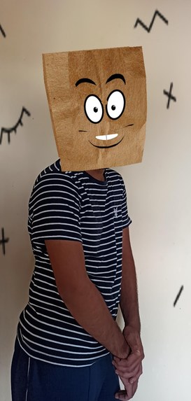 Secret Superstar – screenshot 4