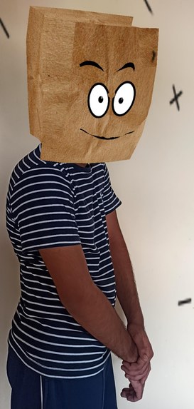 Secret Superstar – screenshot 5