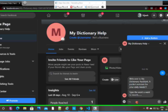My Pocket Dictionary