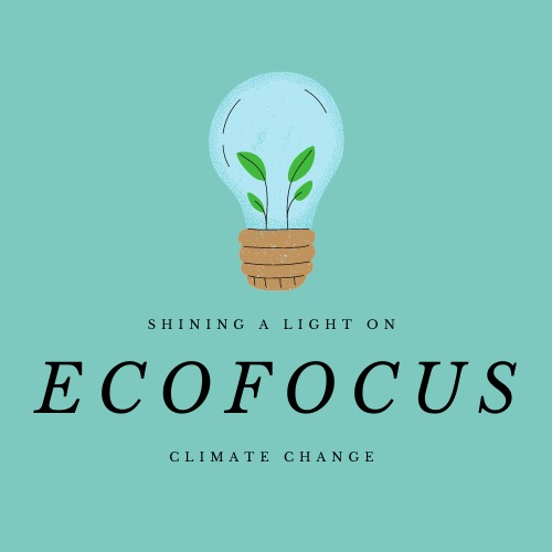 Eco Focus – screenshot 1