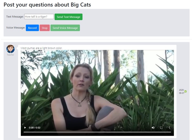Witeach.ai – screenshot 1