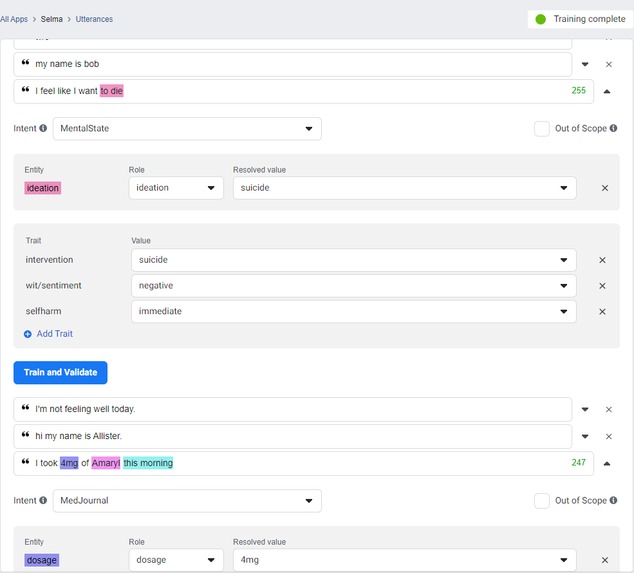 Selma: Voice-enabled CUI for chronic disease self-management – screenshot 5
