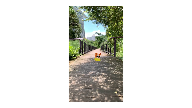 Corgi Play Date – screenshot 2
