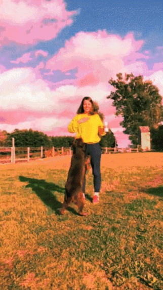 hallucinate – screenshot 1