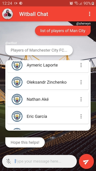 WitBall – screenshot 4