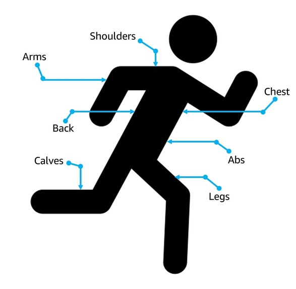 Exercise Finder – screenshot 2