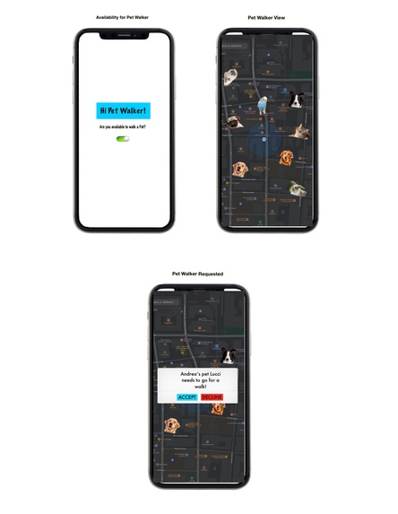 PawCare App – screenshot 2