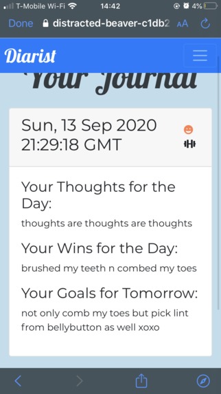 Diarist – screenshot 4