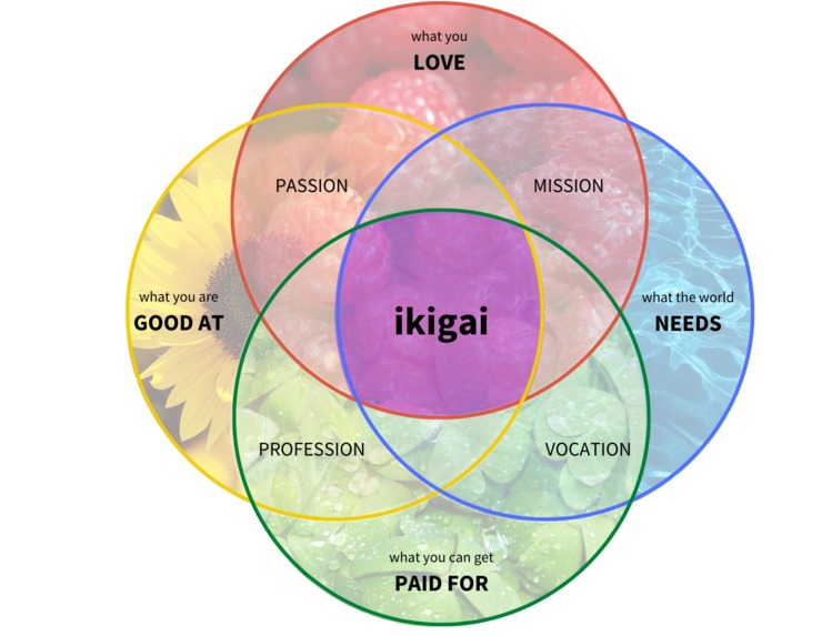 Ikigai Journey - a personal development & empowerment skill – screenshot 1