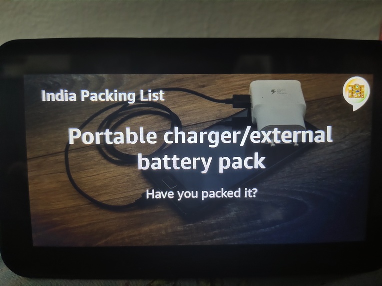 Indian Traveler – screenshot 5