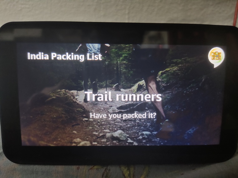 Indian Traveler – screenshot 6