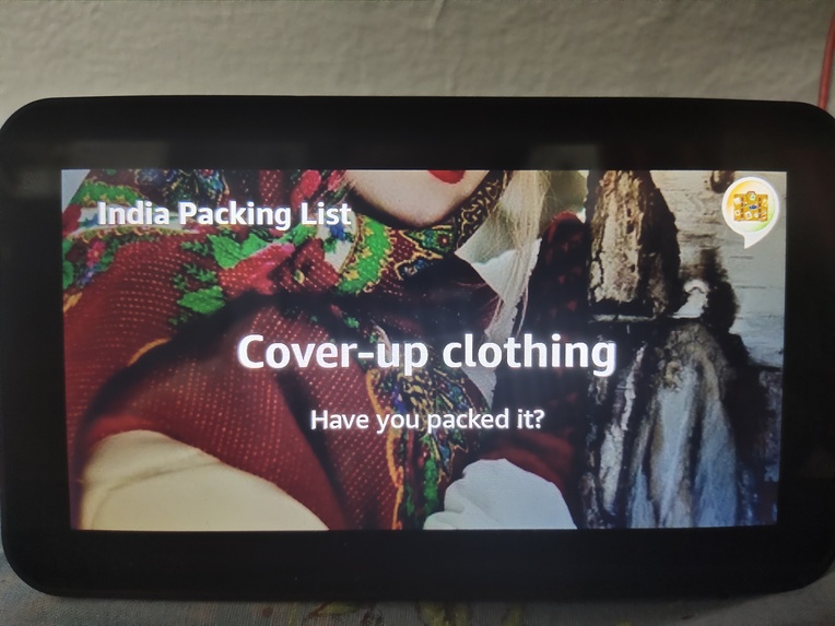 Indian Traveler – screenshot 7