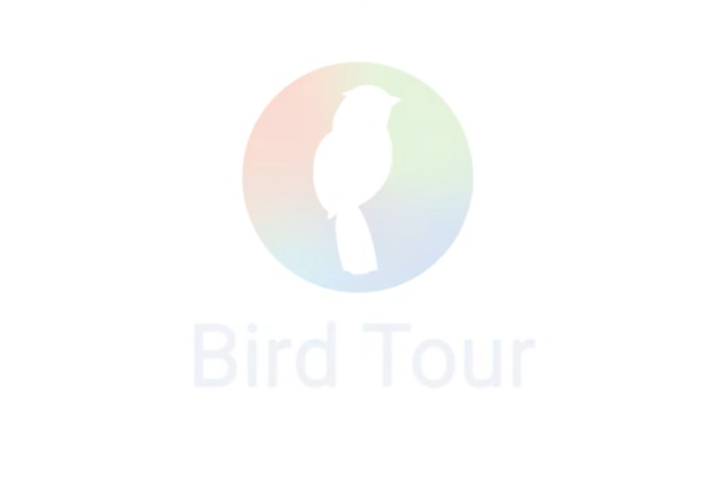 Bird Tour – screenshot 1