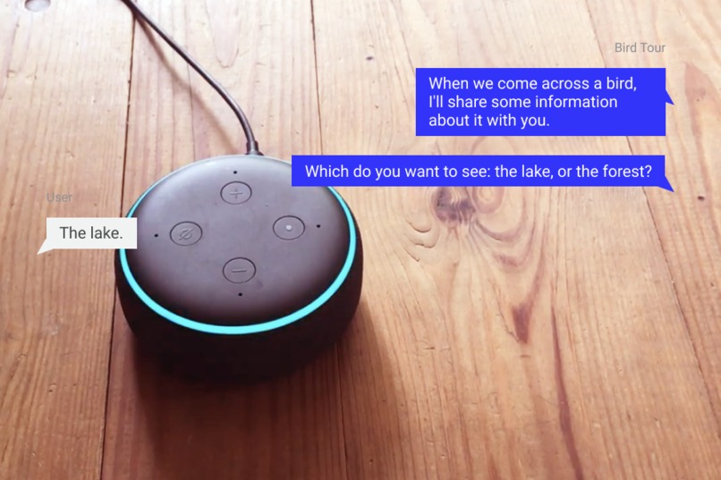 Bird Tour – screenshot 3