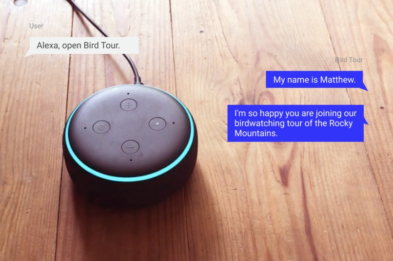 Bird Tour – screenshot 2