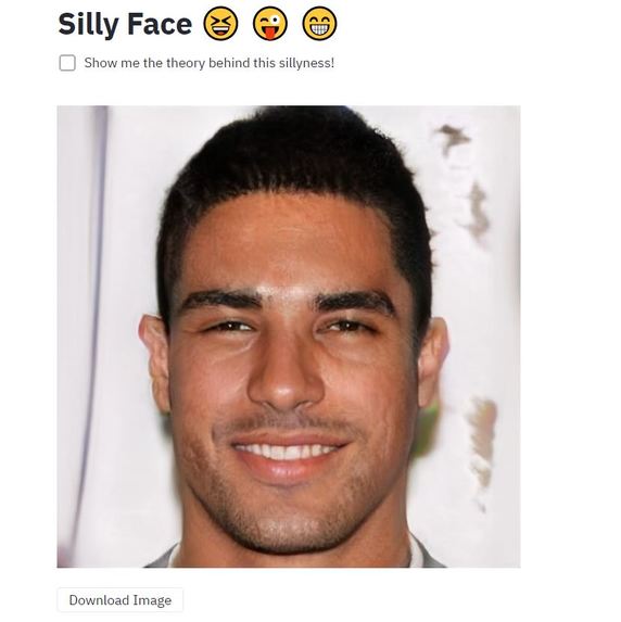 Silly Face – screenshot 4