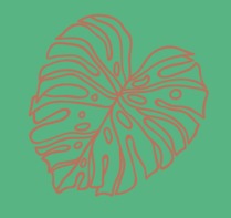 plant.li – screenshot 2