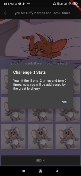 SillyFlash – screenshot 3