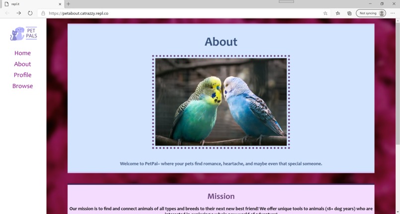 Silly Hacks F2020 : : [ PetPal.io ] – screenshot 4
