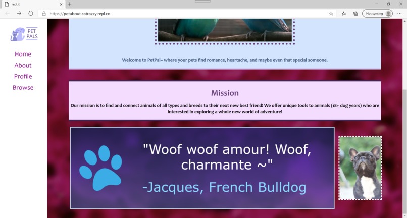 Silly Hacks F2020 : : [ PetPal.io ] – screenshot 5