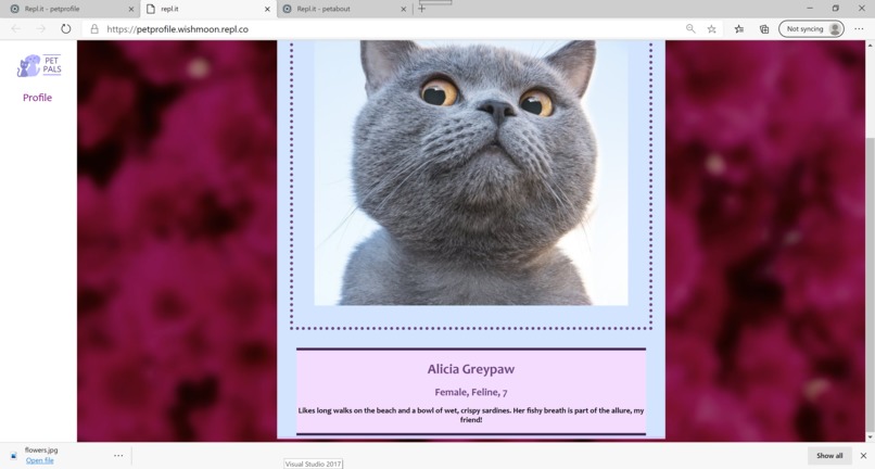 Silly Hacks F2020 : : [ PetPal.io ] – screenshot 7