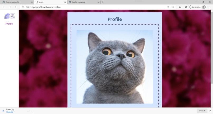 Silly Hacks F2020 : : [ PetPal.io ] – screenshot 6