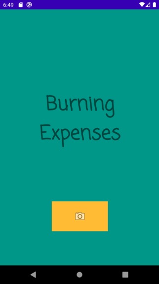 Burning Expenses – screenshot 1