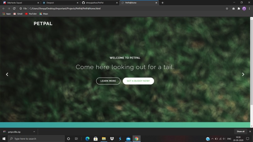 Silly Hacks F2020 : : [ PetPal.io ] – screenshot 2
