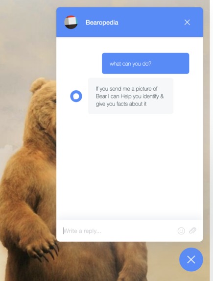 Grizz Bot – screenshot 4
