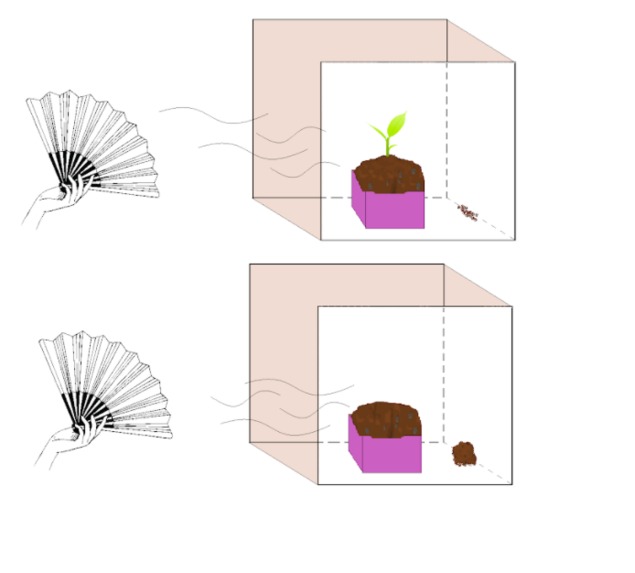 "Rooting" for STEM – screenshot 1