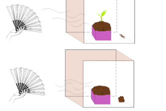 "Rooting" for STEM